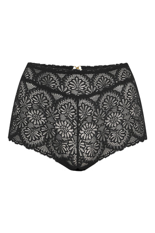 High briefs in lack- product image of floral detailed lace briefs with a high rise waist in black